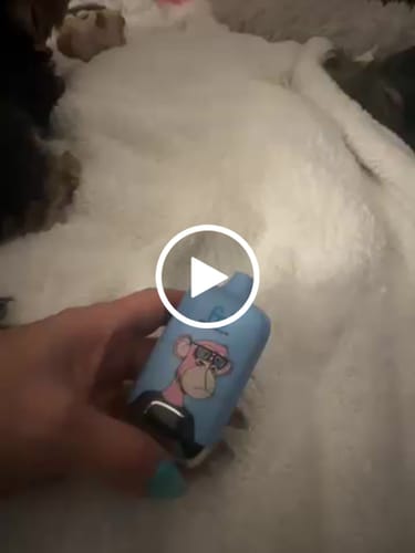 Vorschaubild der Kundenbewertung von Nata B. zu Tornado Vape 12000 – Grape Ice